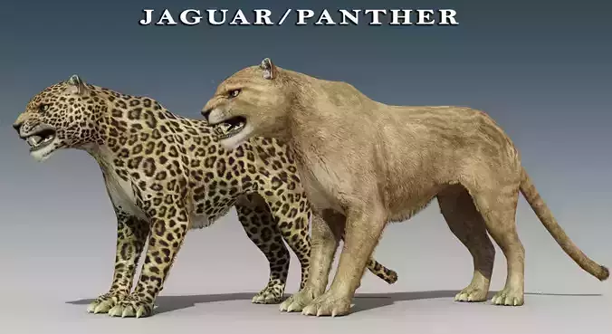 Jaguar and Panther Rigged