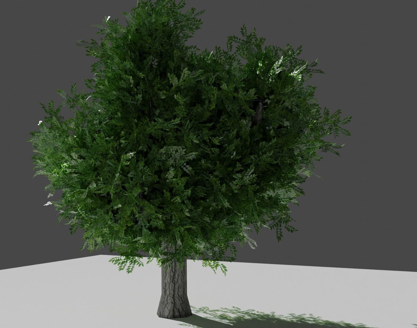 flora tree Low-poly 3D model_1