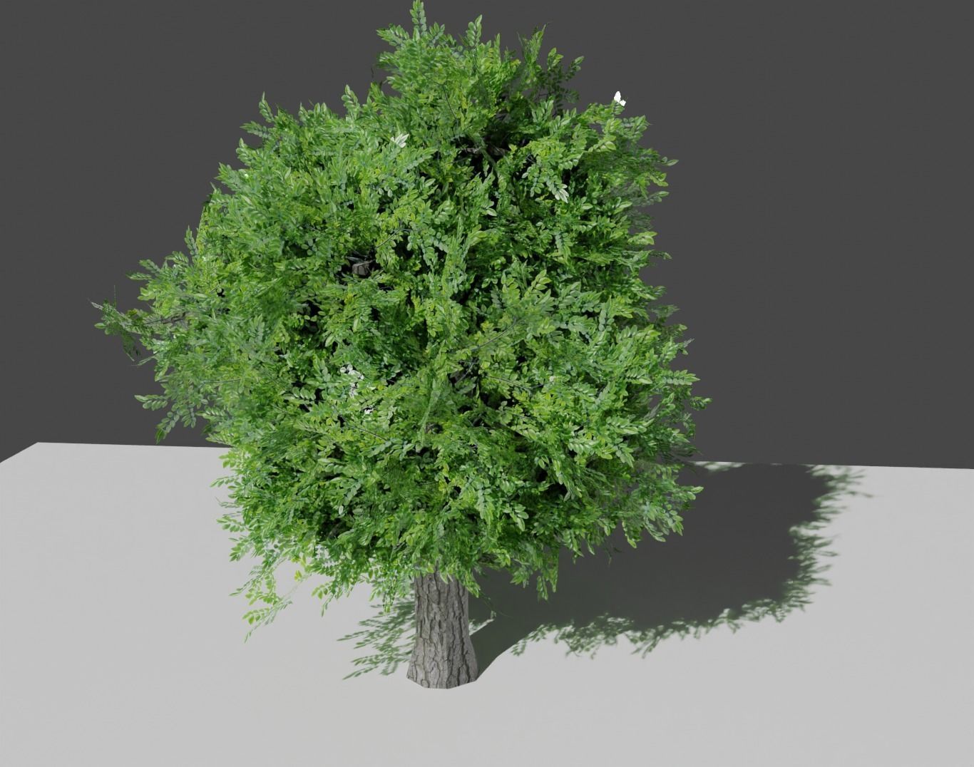 flora tree Low-poly 3D model_4
