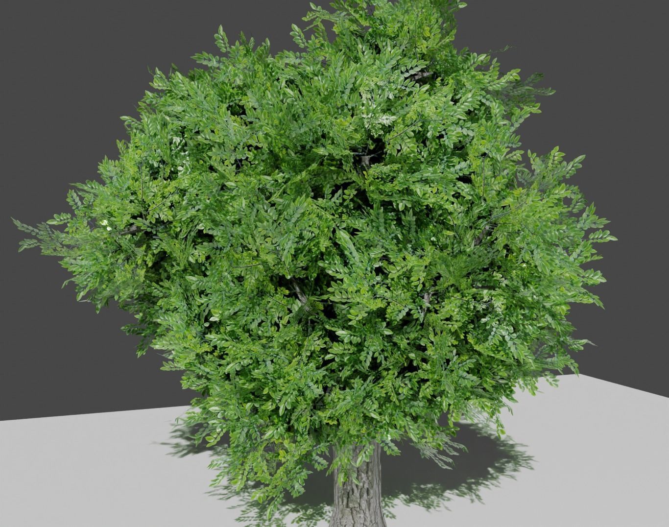 flora tree Low-poly 3D model_3