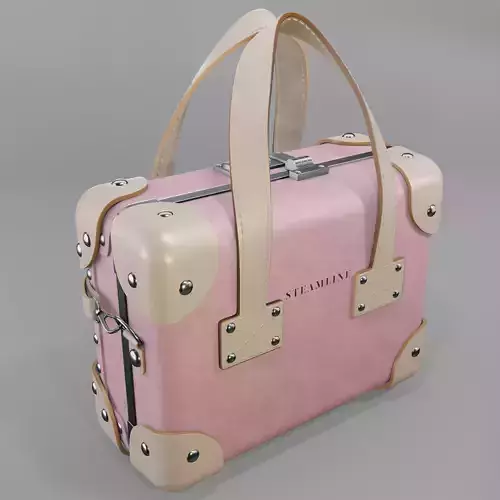 Steamline Entrepreneur Pink Mini