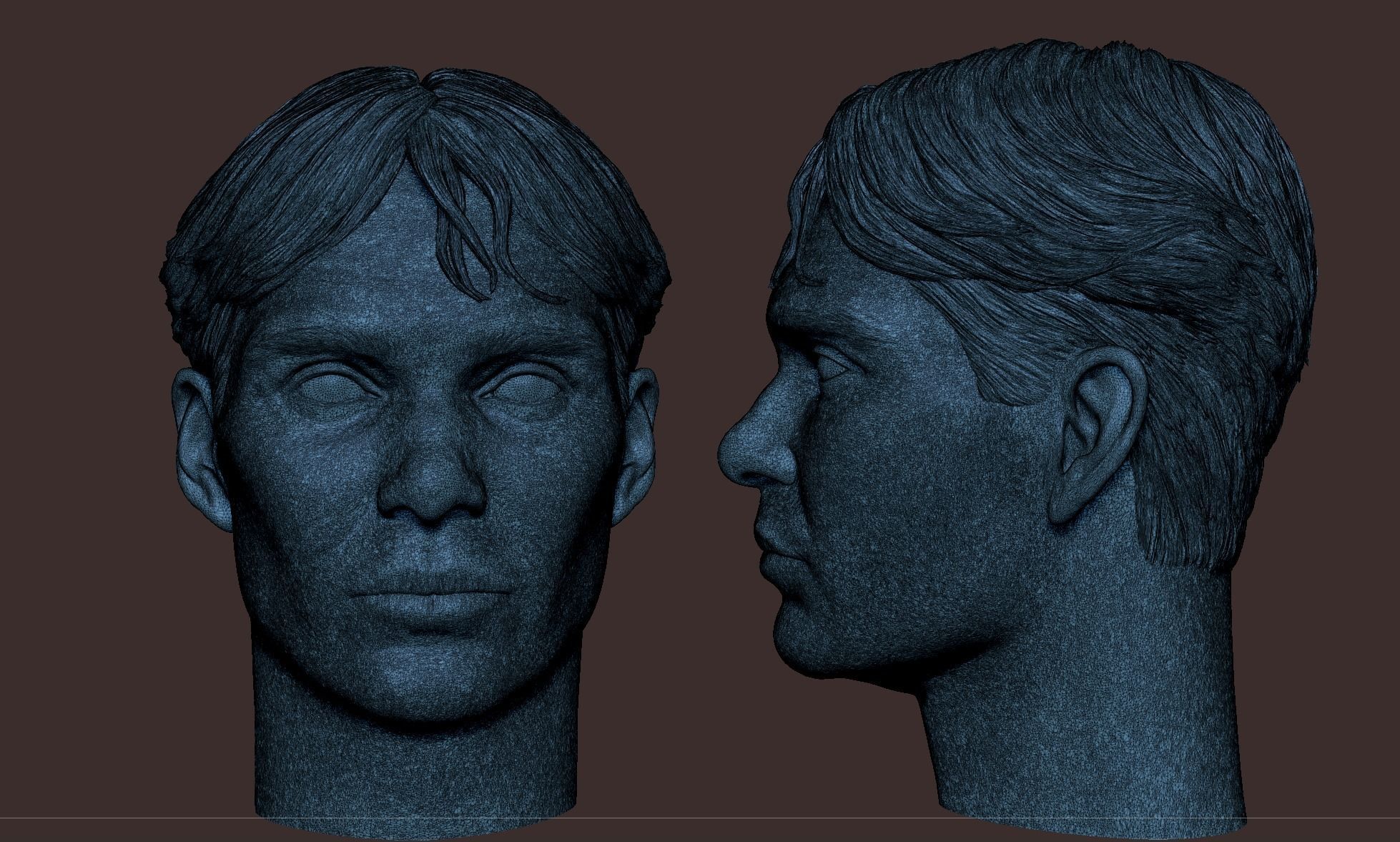 Cillian Murphy Head 3D model 3D printable | CGTrader