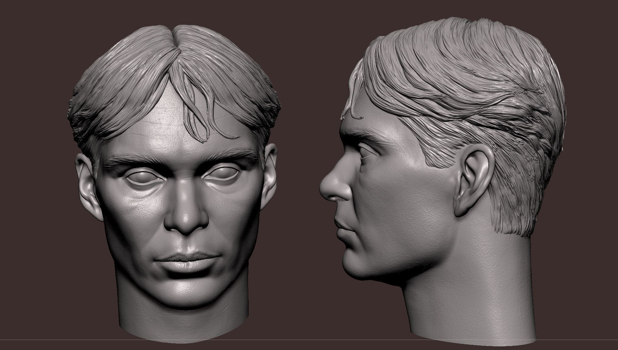 Cillian Murphy Head 3D model 3D printable | CGTrader