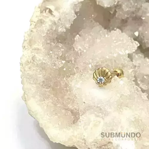 Set Piercing 3 models pack Sea Turtle starfish and sheel Jewelry 3D print model