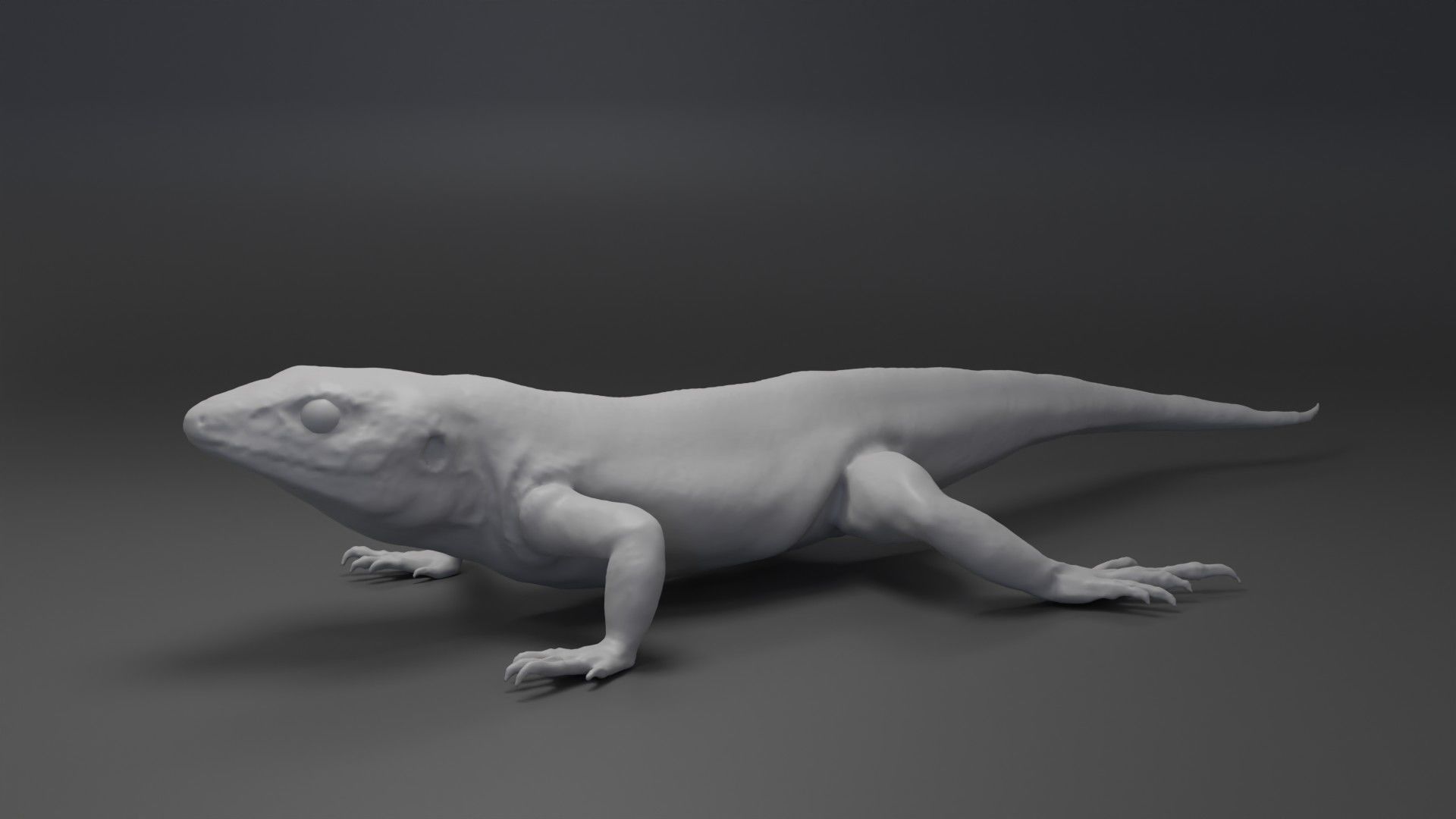 Lizard Sculpt 3D model_4