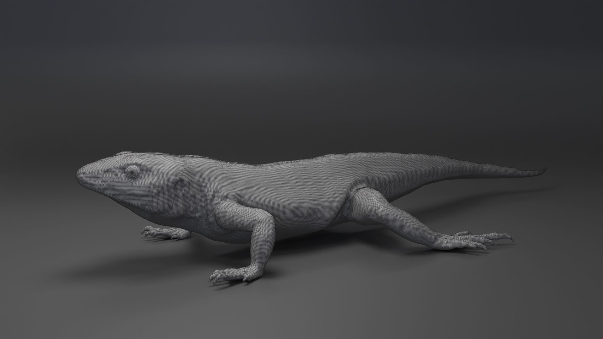 Lizard Sculpt 3D model_5
