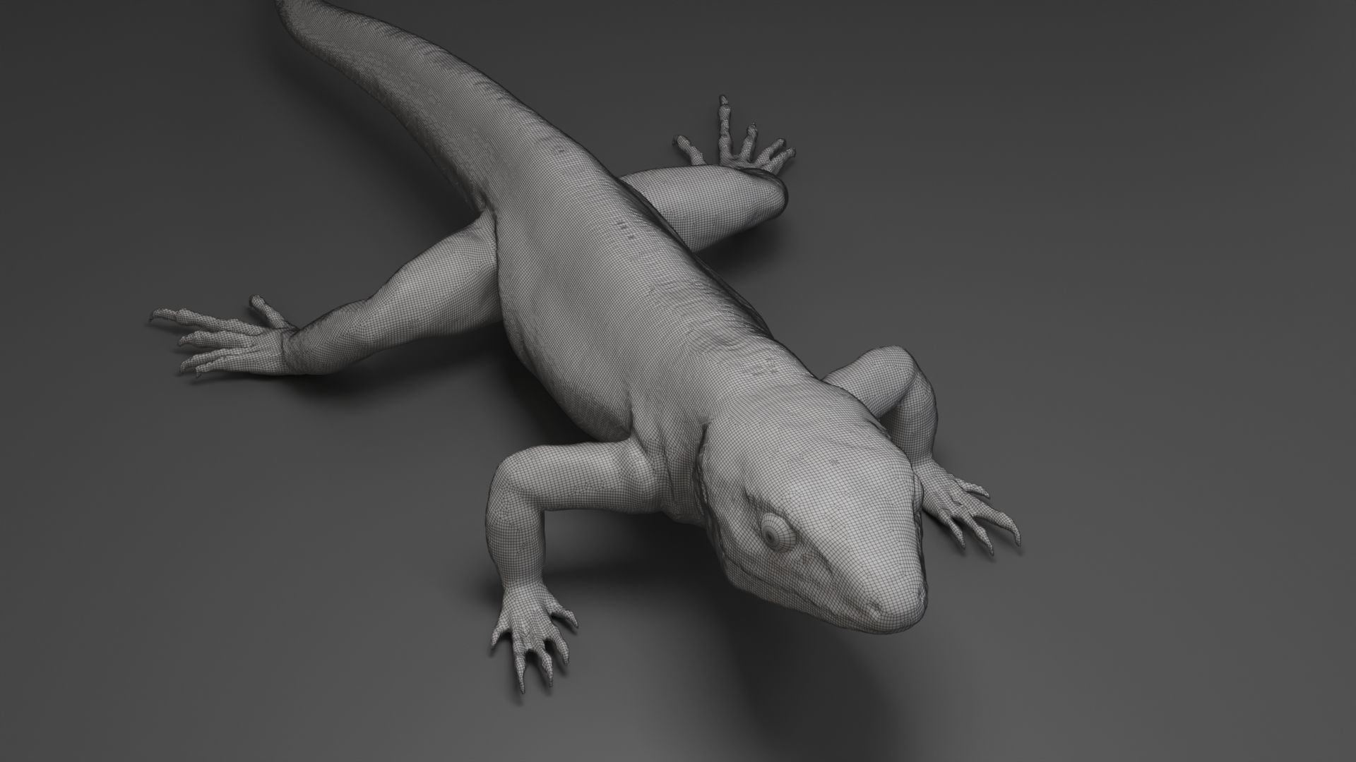 Lizard Sculpt 3D model_7