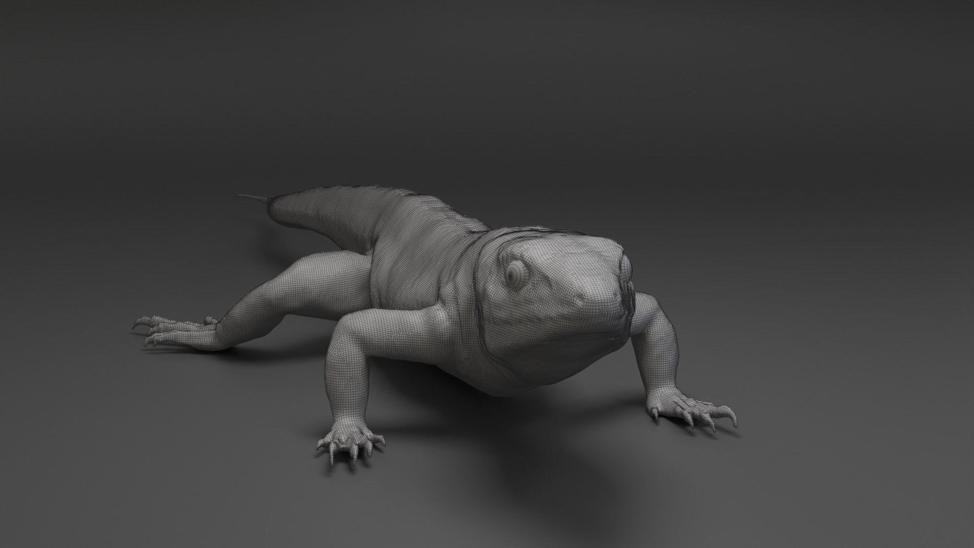 Lizard Sculpt 3D model_6