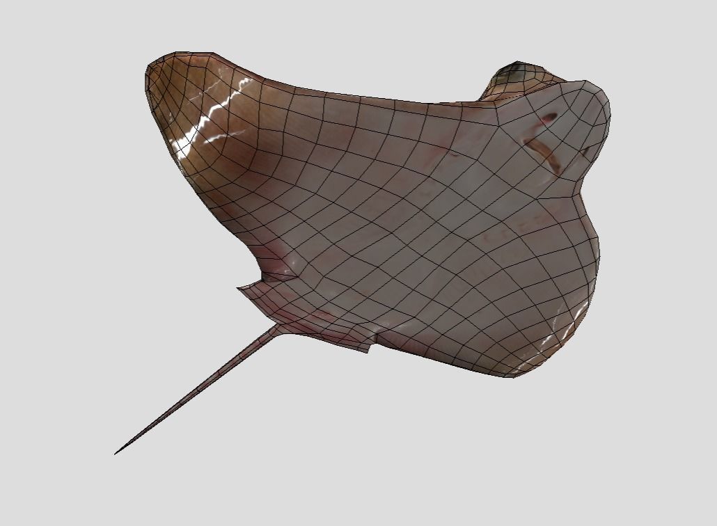 Eagle Ray Realistic Animated Low-poly 3D model_4