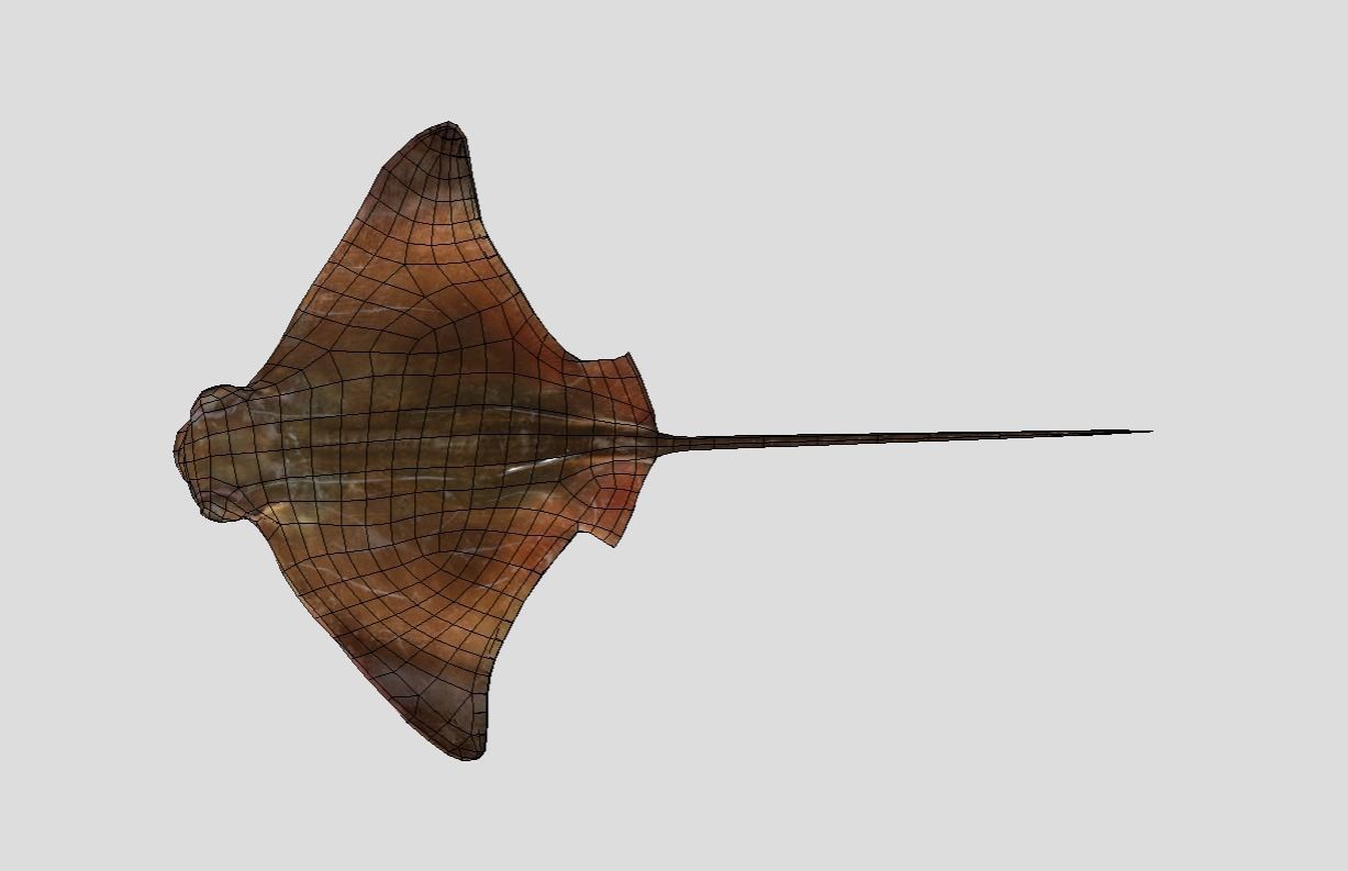 Eagle Ray Realistic Animated Low-poly 3D model_3