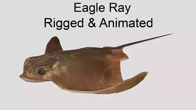 Eagle Ray Realistic Animated Low-poly 3D model