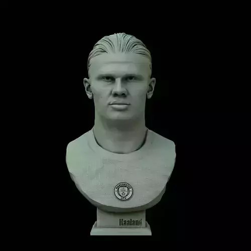 Erling Haaland 3D bust for printing 3D print model
