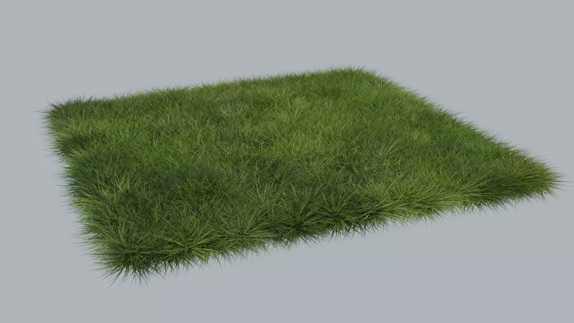 Grass 3D model_0