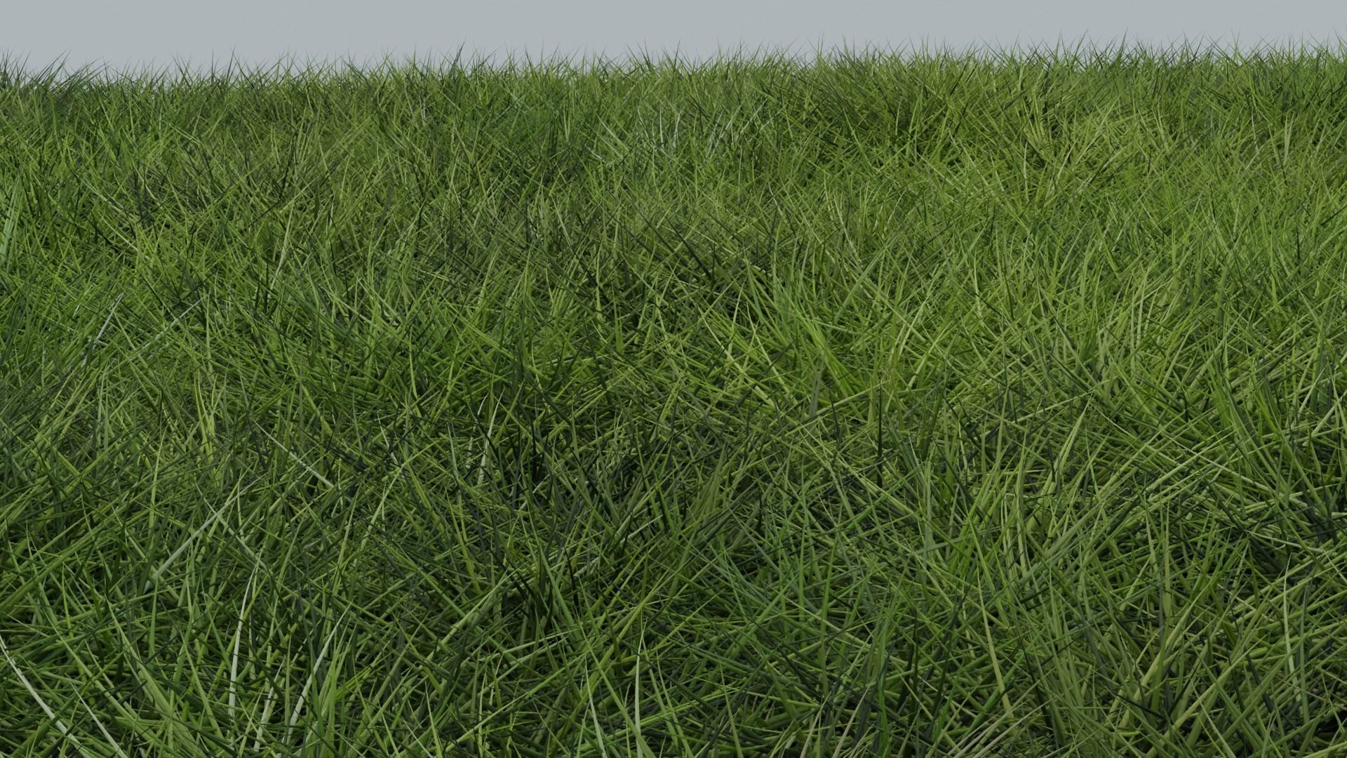 Grass 3D model_1