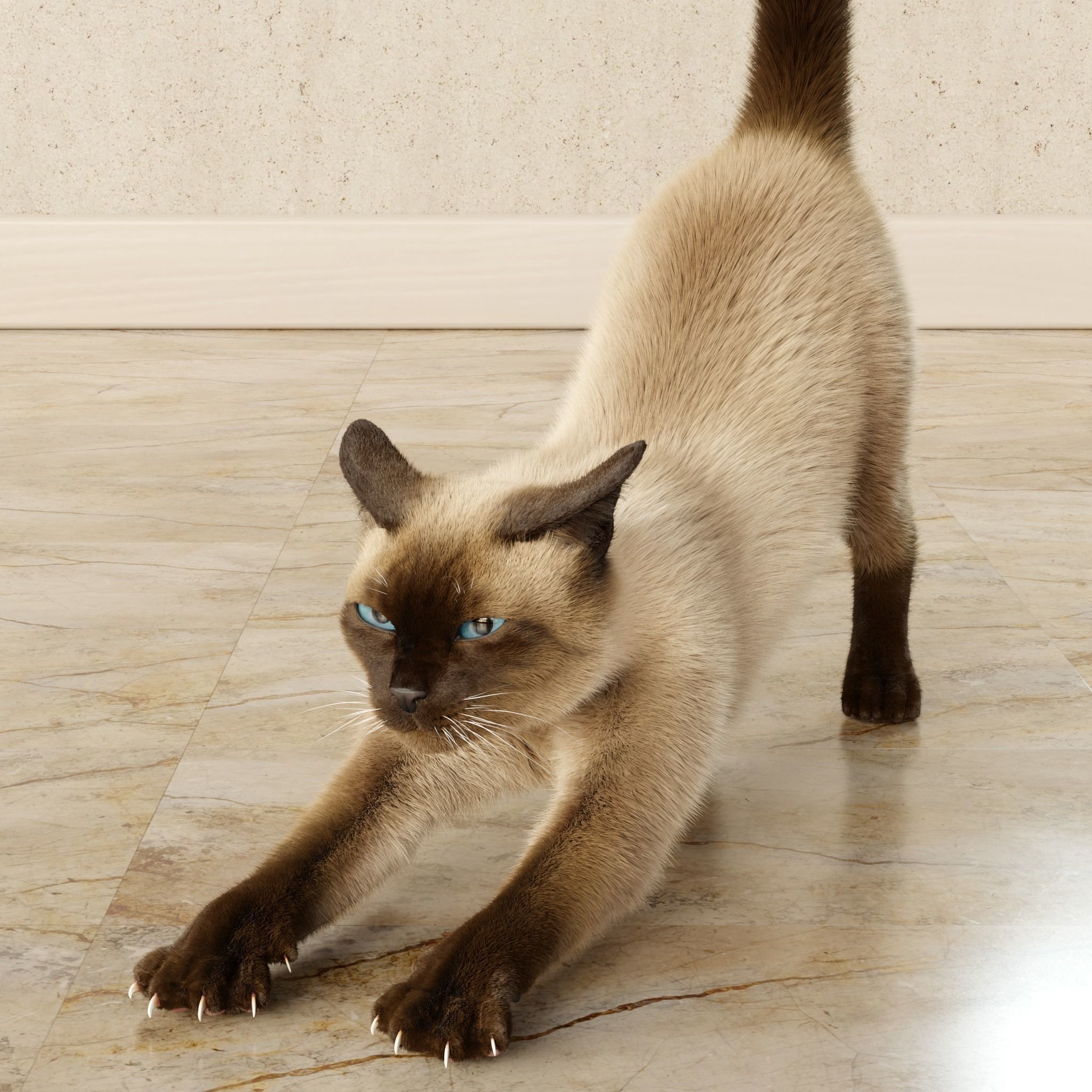 Cat Siamese Rigged Animated 3D model_19
