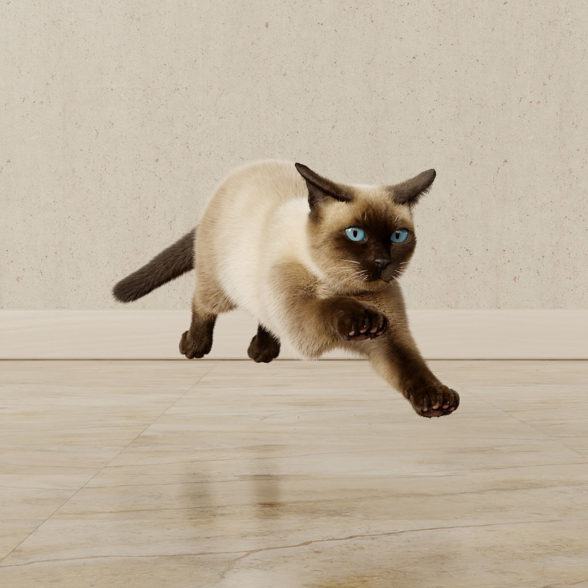 Cat Siamese Rigged Animated 3D model_18