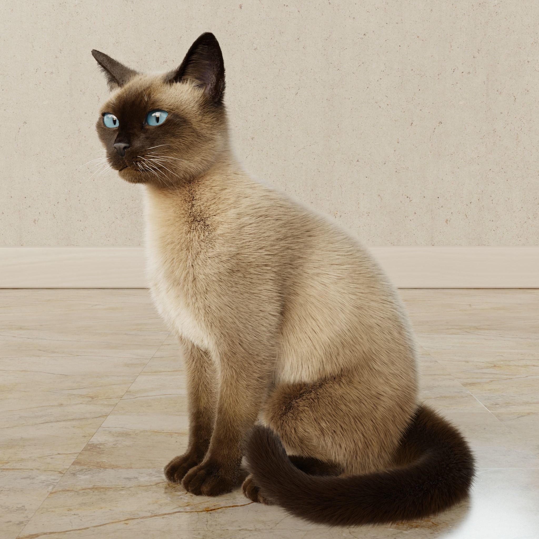 Cat Siamese Rigged Animated 3D model_12
