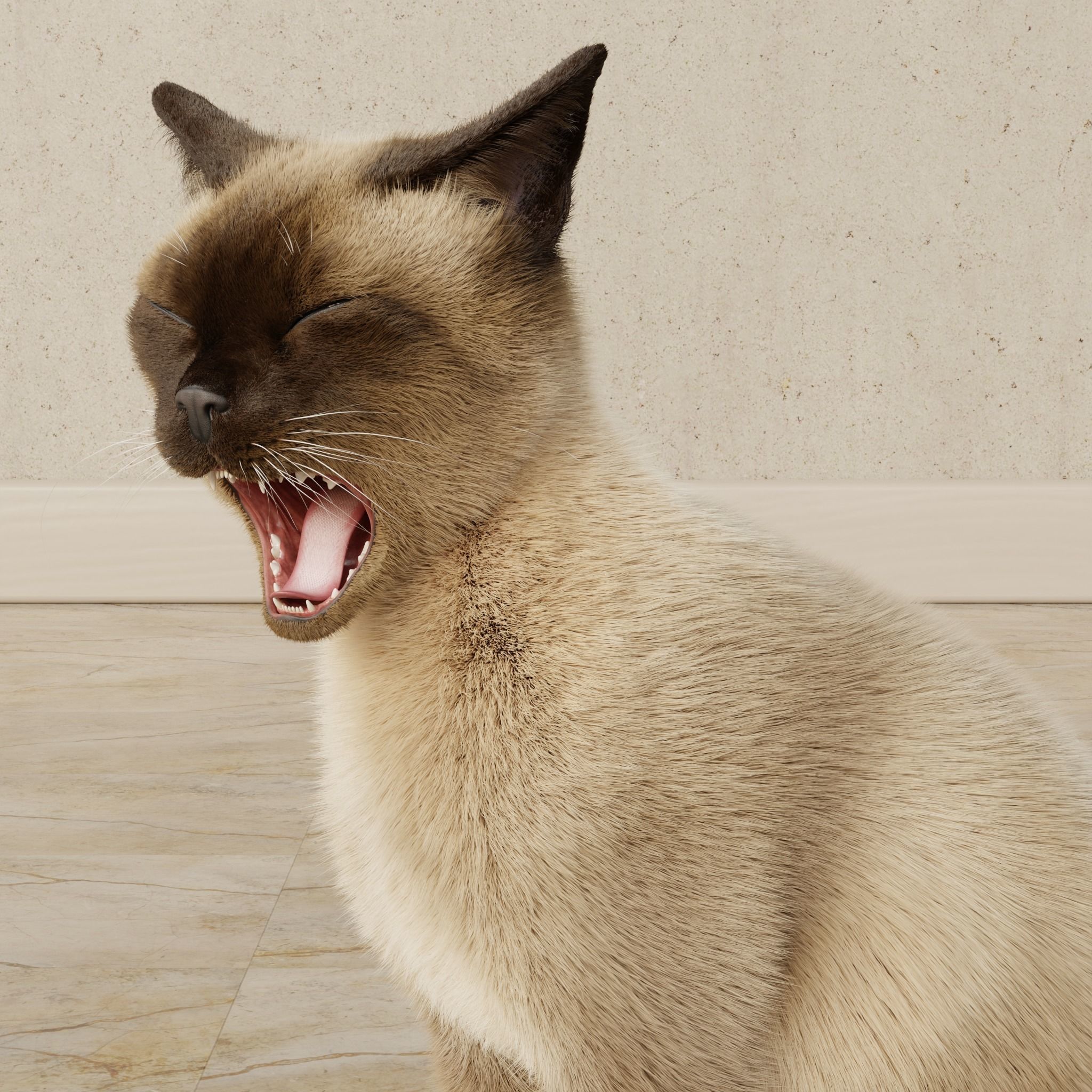Cat Siamese Rigged Animated 3D model_20
