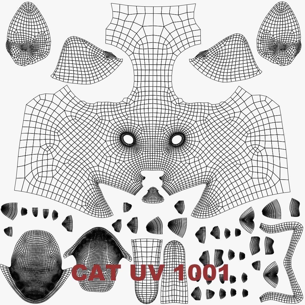 Cat Siamese Rigged Animated 3D model_24