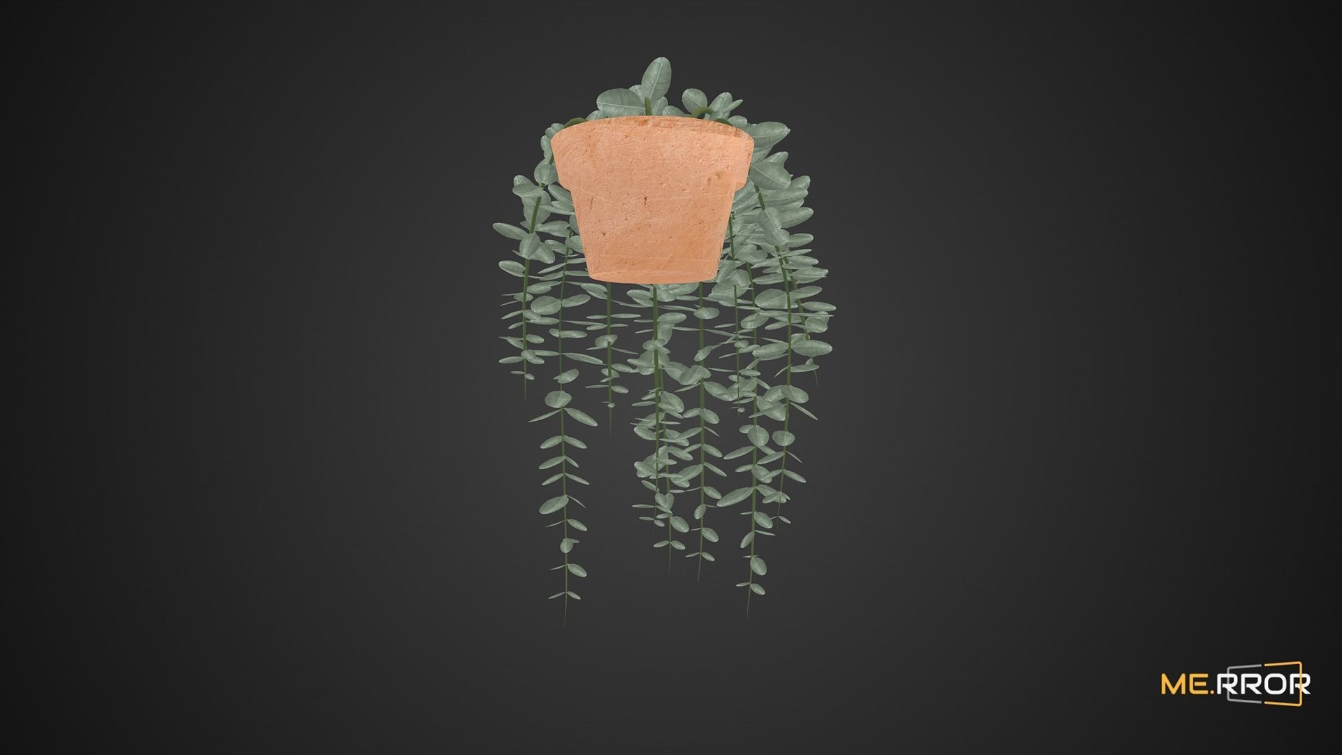 Game Ready Eucalyptus Pot Low-poly 3D model_7