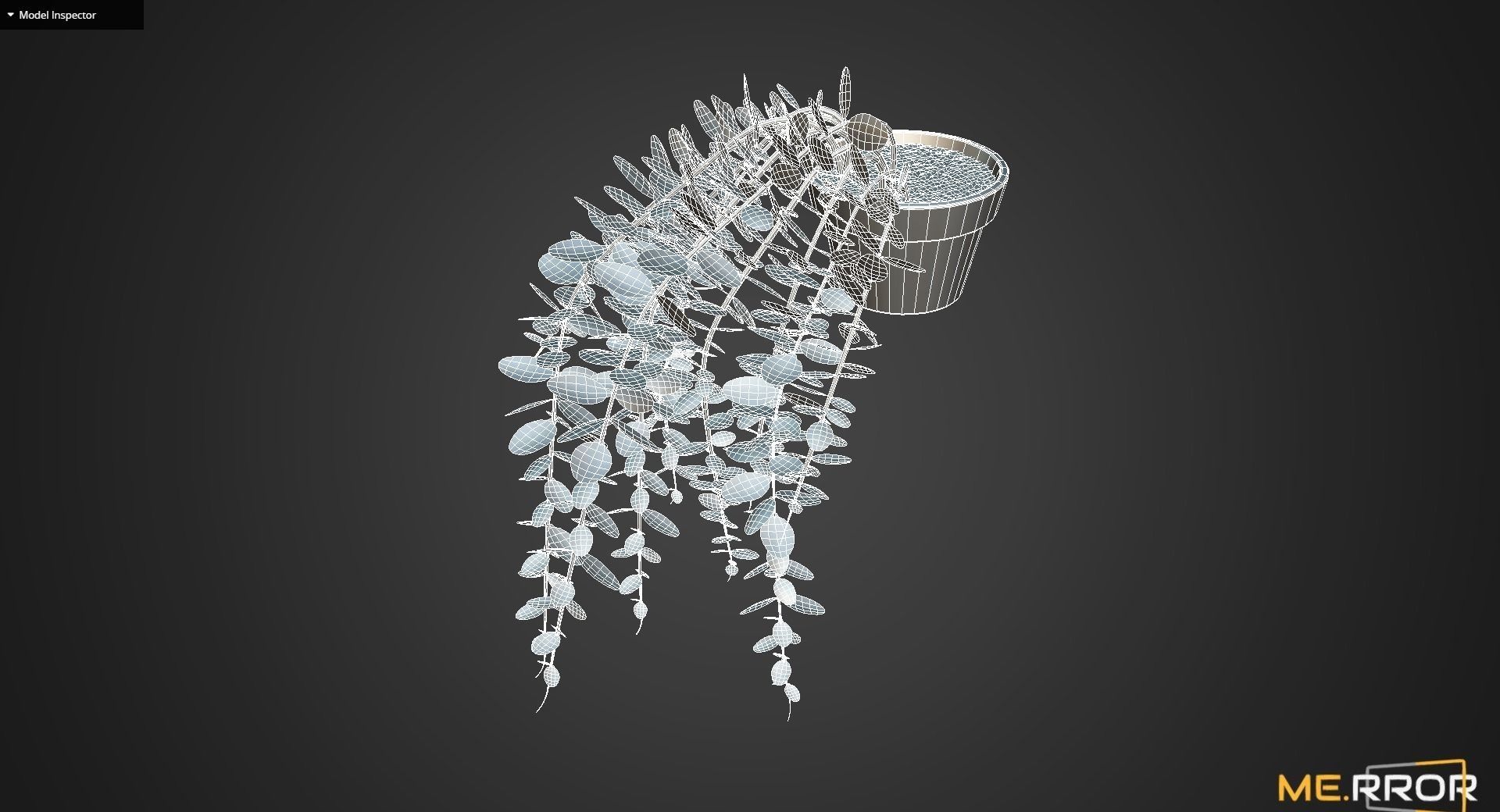 Game Ready Eucalyptus Pot Low-poly 3D model_11