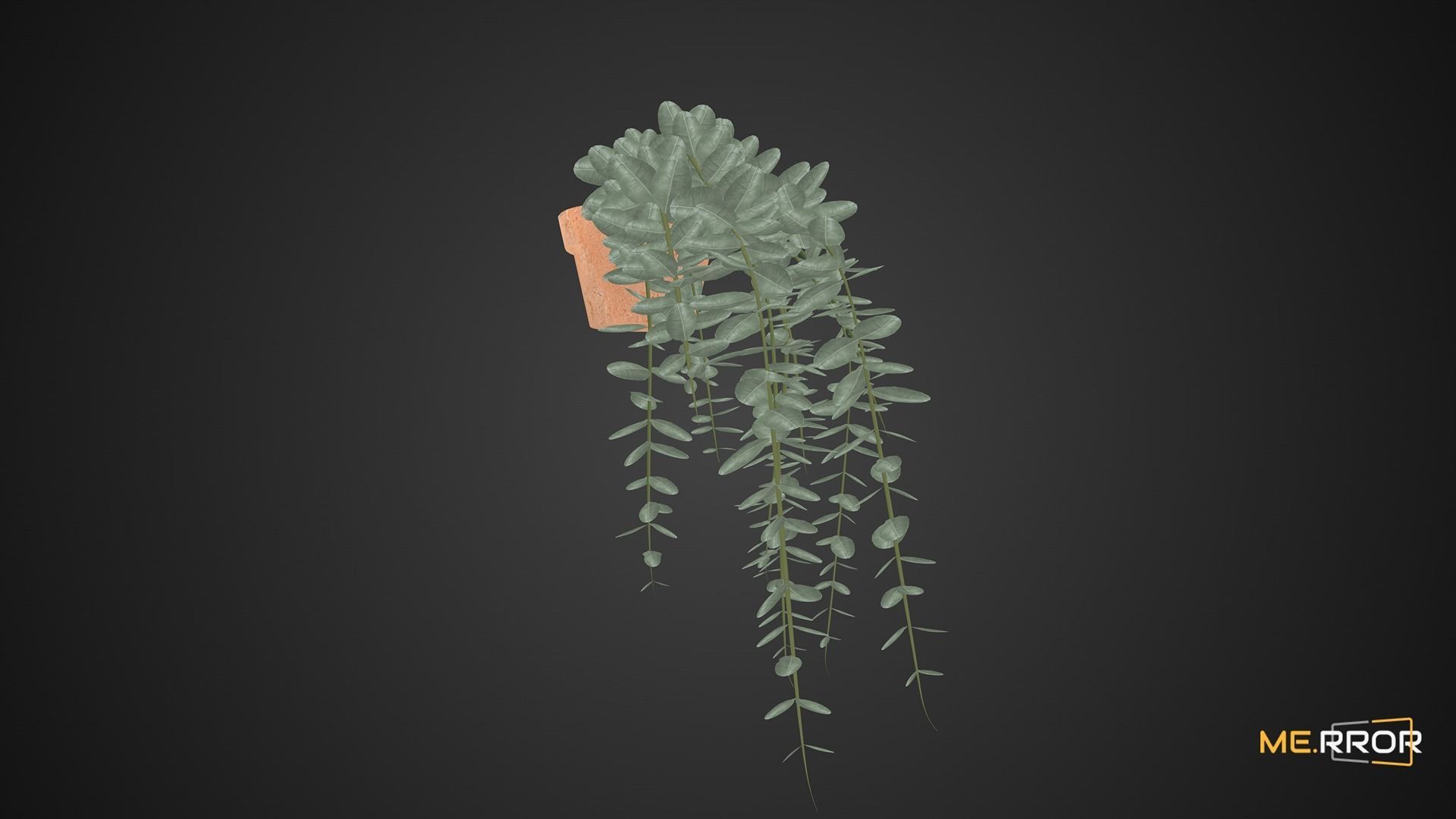 Game Ready Eucalyptus Pot Low-poly 3D model_5