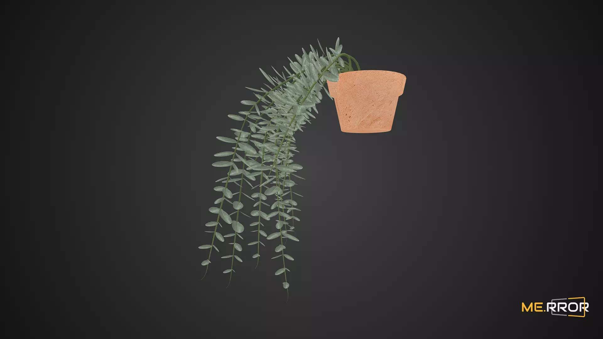 Game Ready Eucalyptus Pot Low-poly 3D model_0
