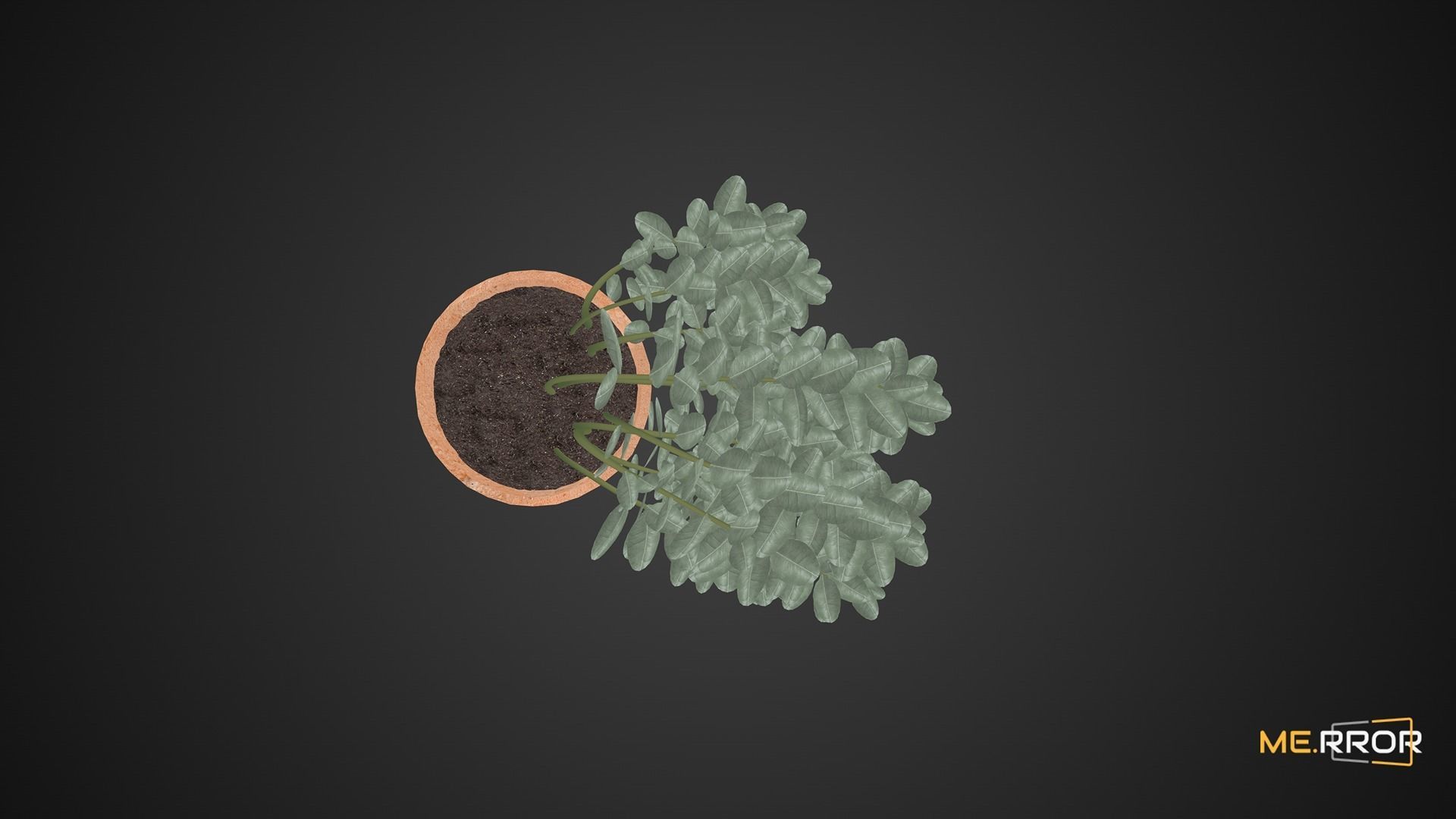 Game Ready Eucalyptus Pot Low-poly 3D model_8