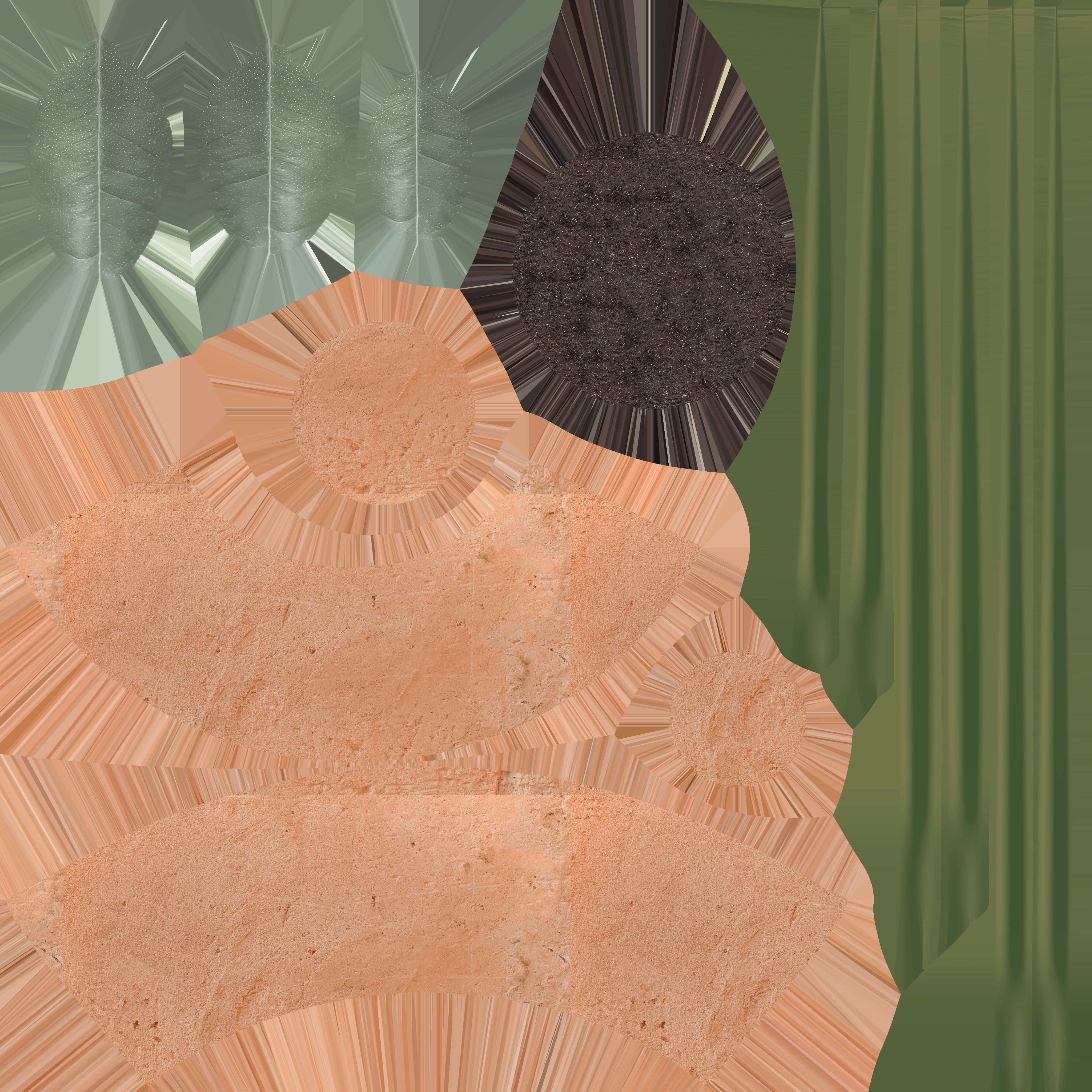 Game Ready Eucalyptus Pot Low-poly 3D model_18