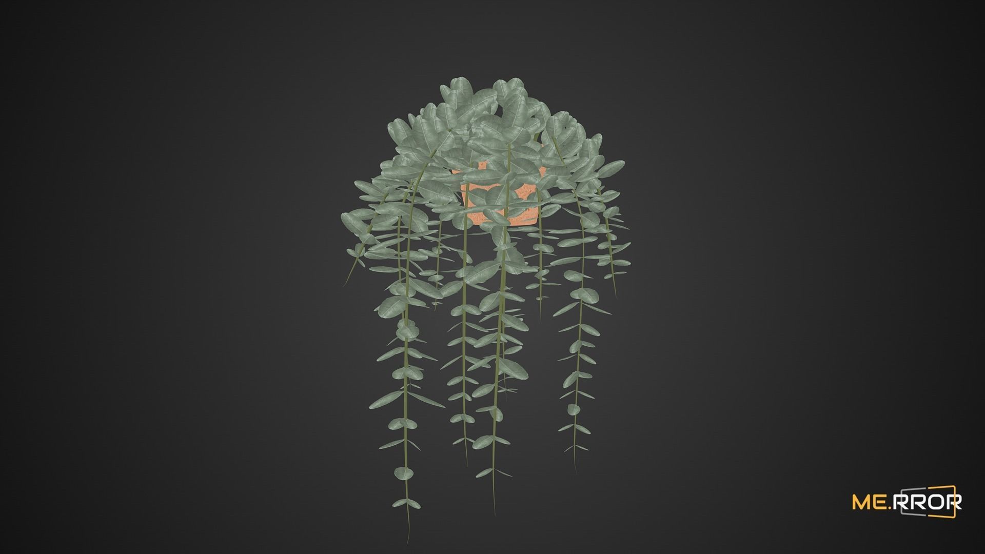 Game Ready Eucalyptus Pot Low-poly 3D model_3