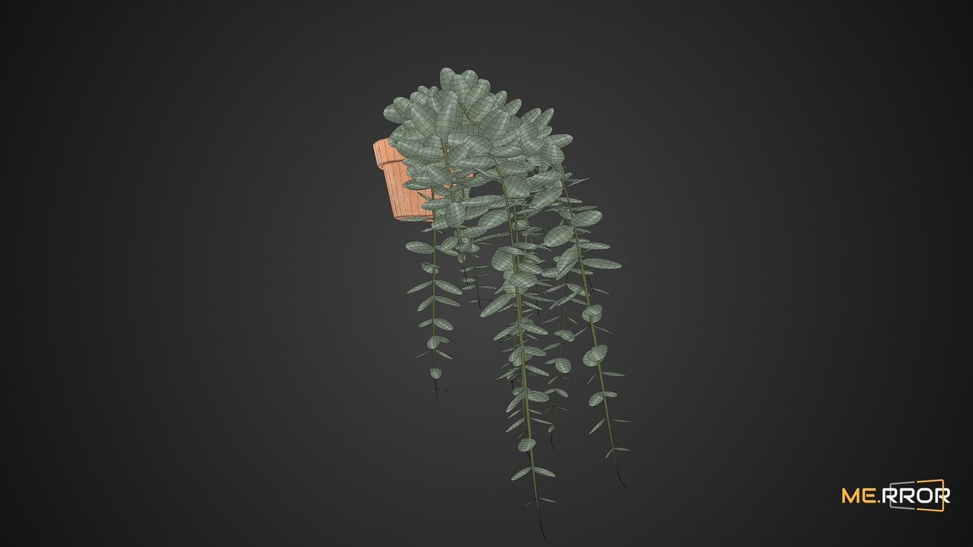 Game Ready Eucalyptus Pot Low-poly 3D model_2