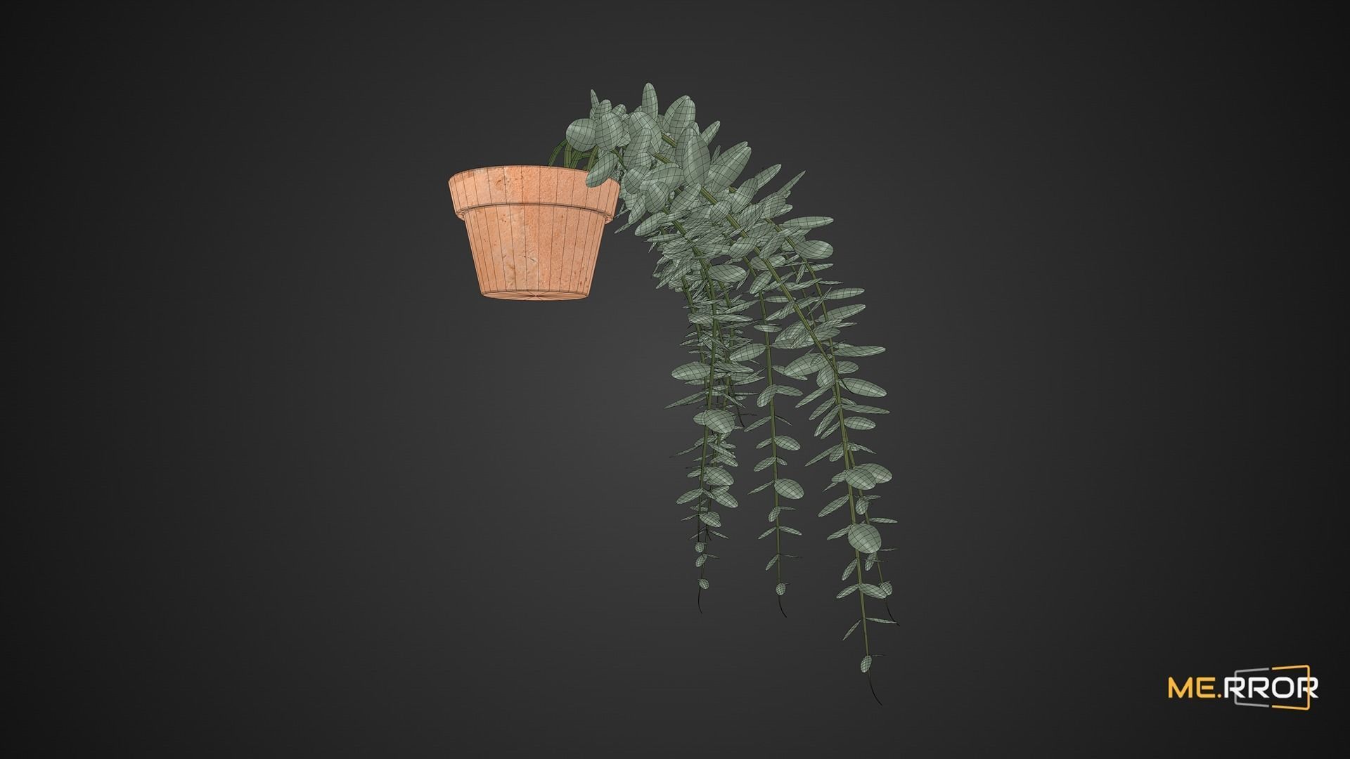Game Ready Eucalyptus Pot Low-poly 3D model_1