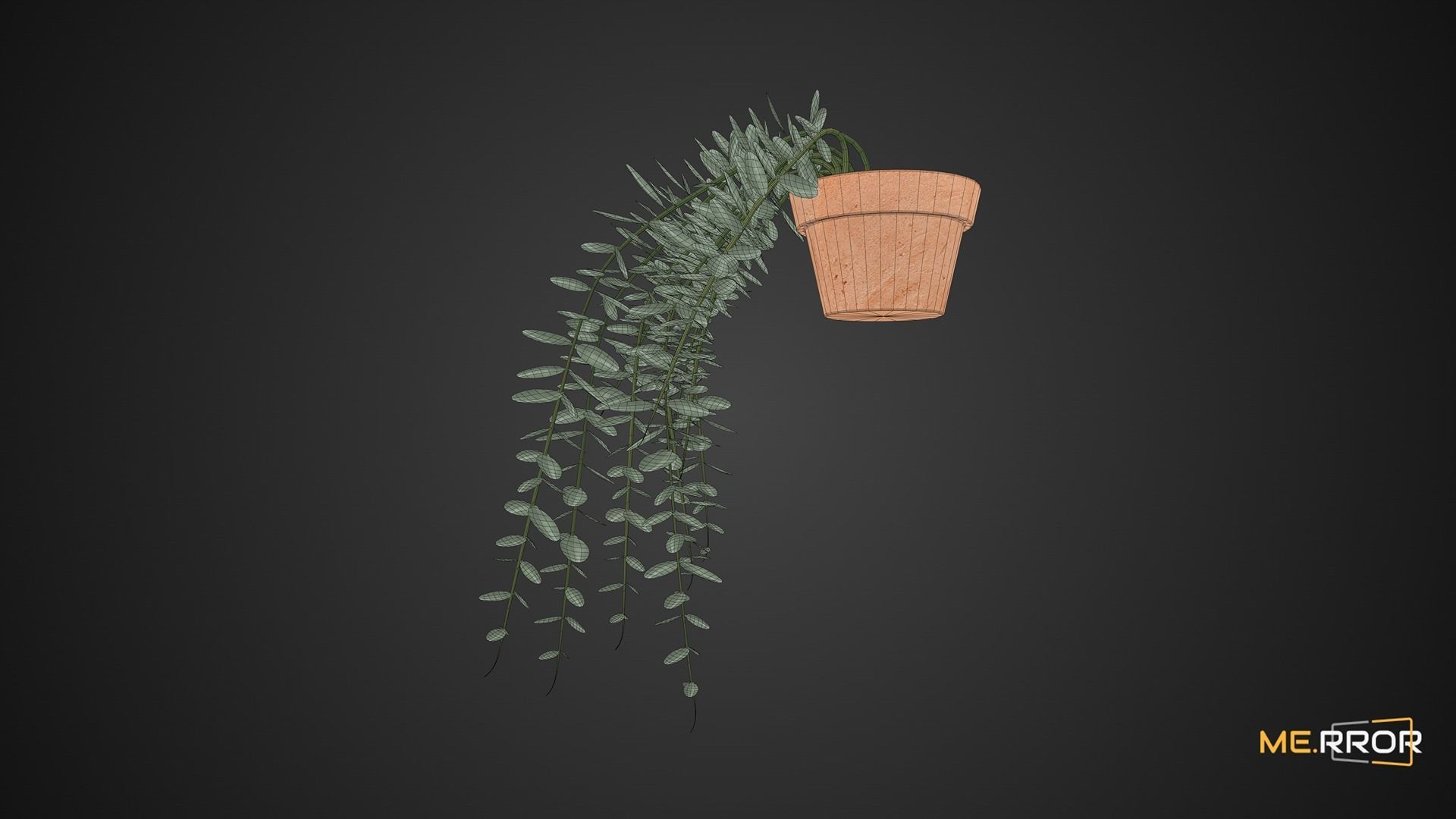 Game Ready Eucalyptus Pot Low-poly 3D model_6