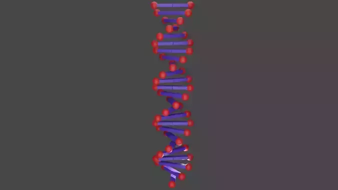 3D Simple DNA 3D model