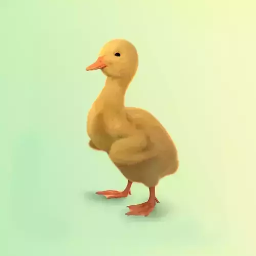 Duckling Character Rigged 3D model