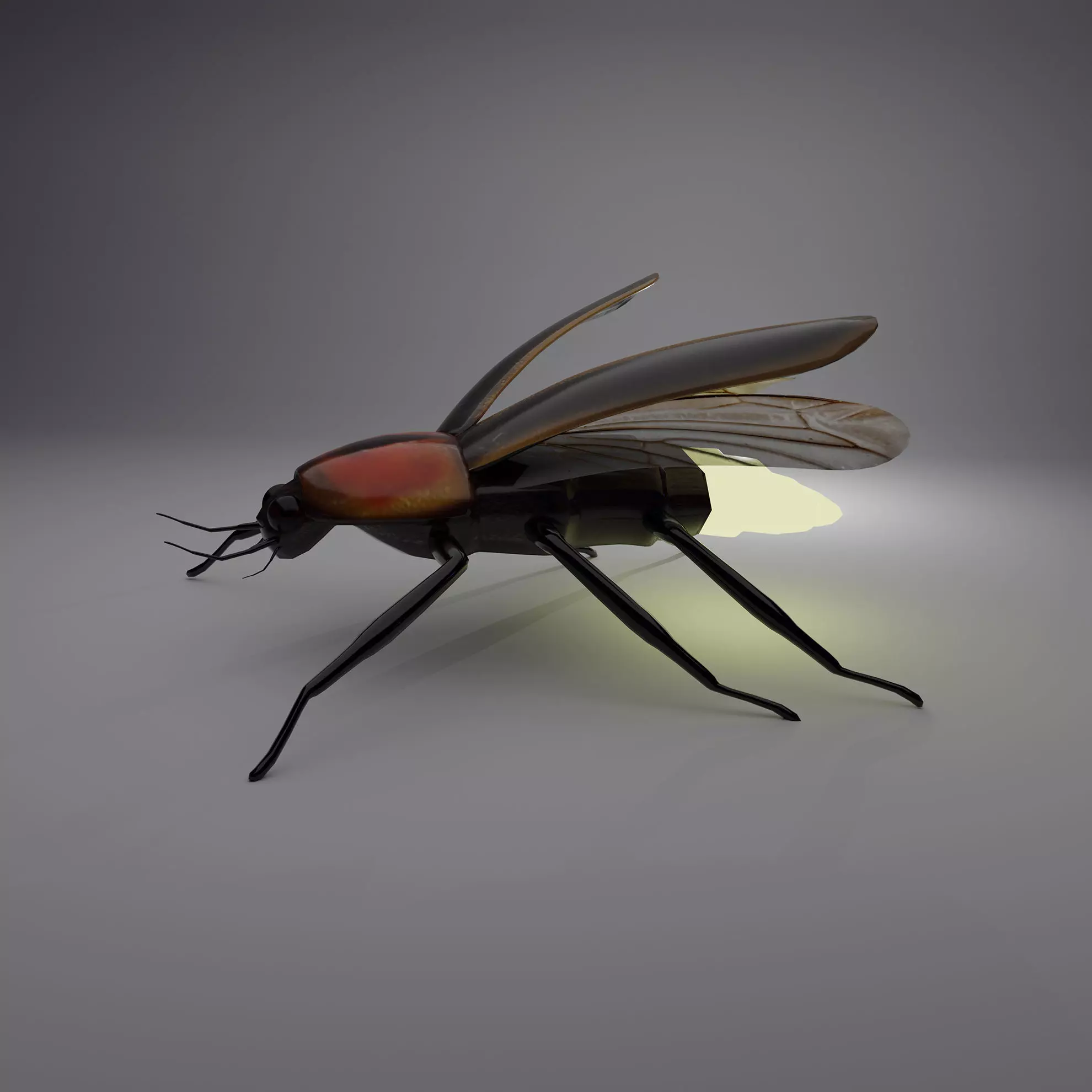 fire fly bettle 3d model 3D model_0