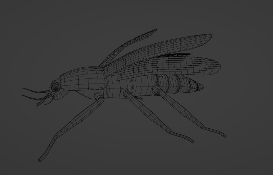 fire fly bettle 3d model 3D model_1