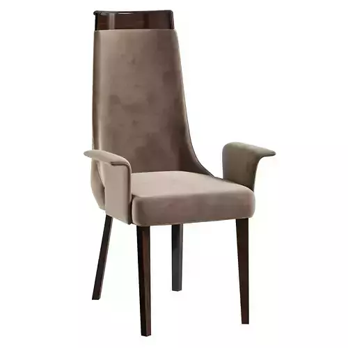 COLISEUM armchair by giorgiocollection