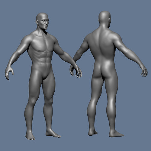 MALE BASE MESH Low-poly 3D model