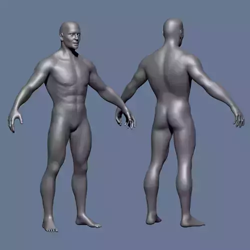 MALE BASE MESH