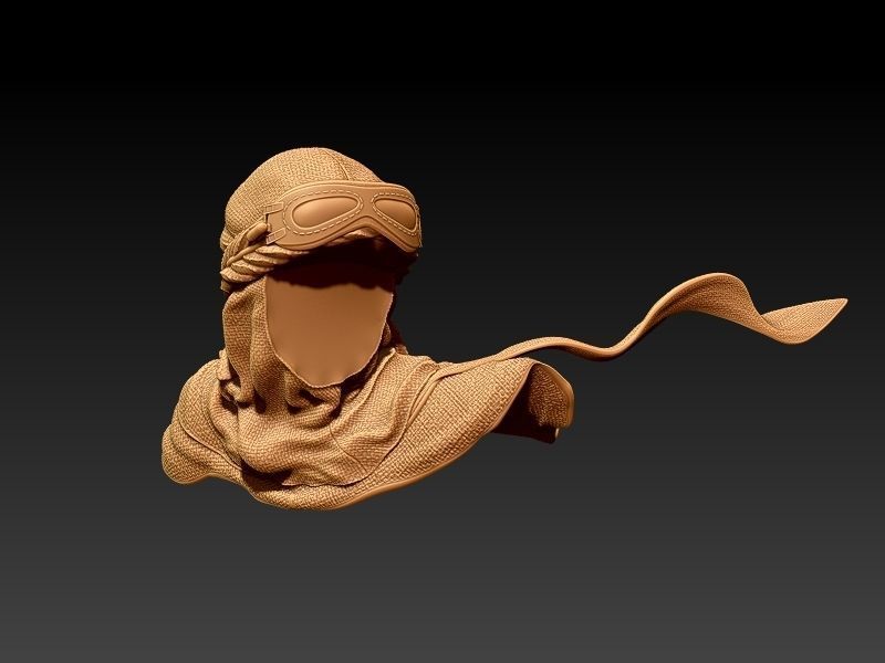 Jakku biker pin-up style 3D print model_62