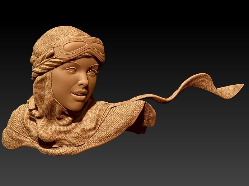 Jakku biker pin-up style 3D print model_64