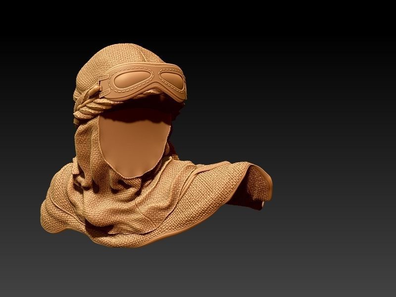 Jakku biker pin-up style 3D print model_61