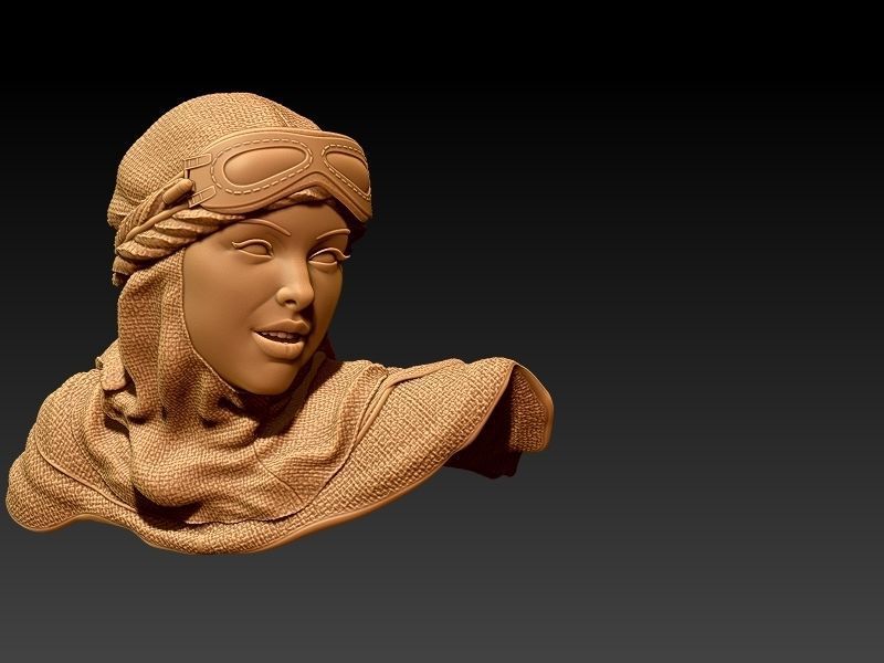 Jakku biker pin-up style 3D print model_63