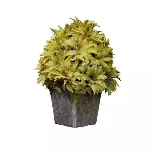 Artificial Plant 3D scan