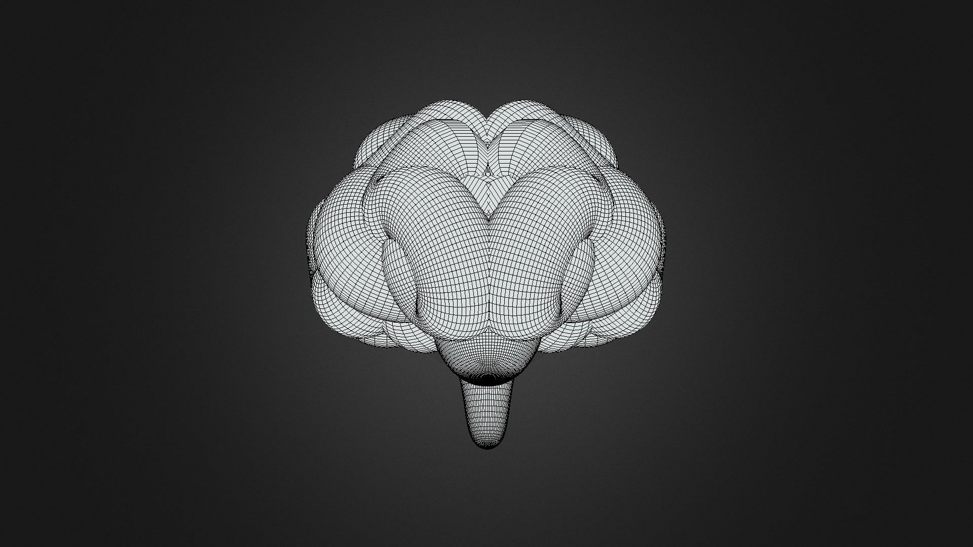 Brain  3D model_4