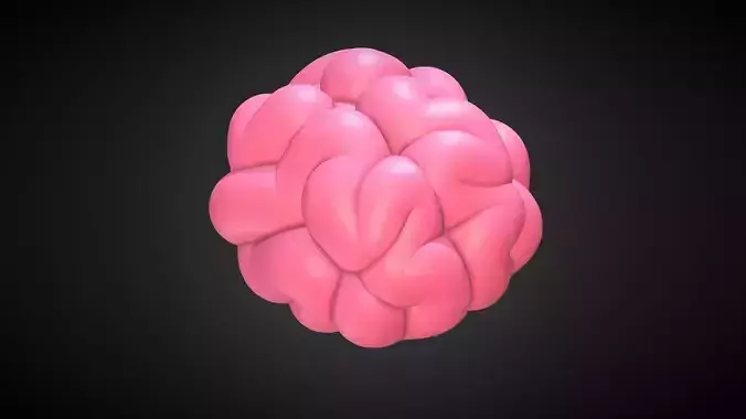 Brain  3D model