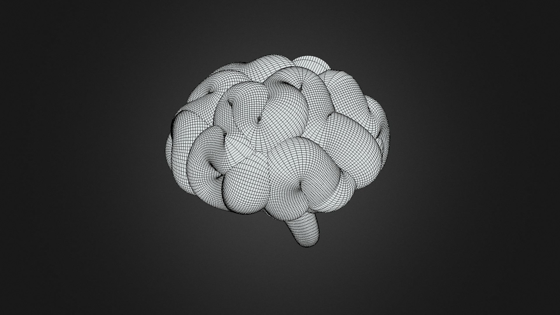 Brain  3D model_3