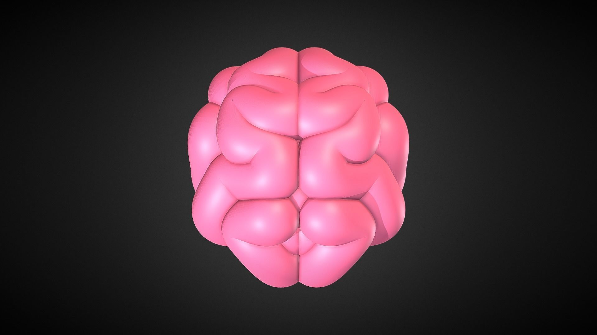Brain  3D model_2