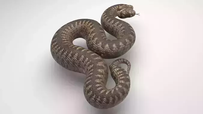 Snake 3D model